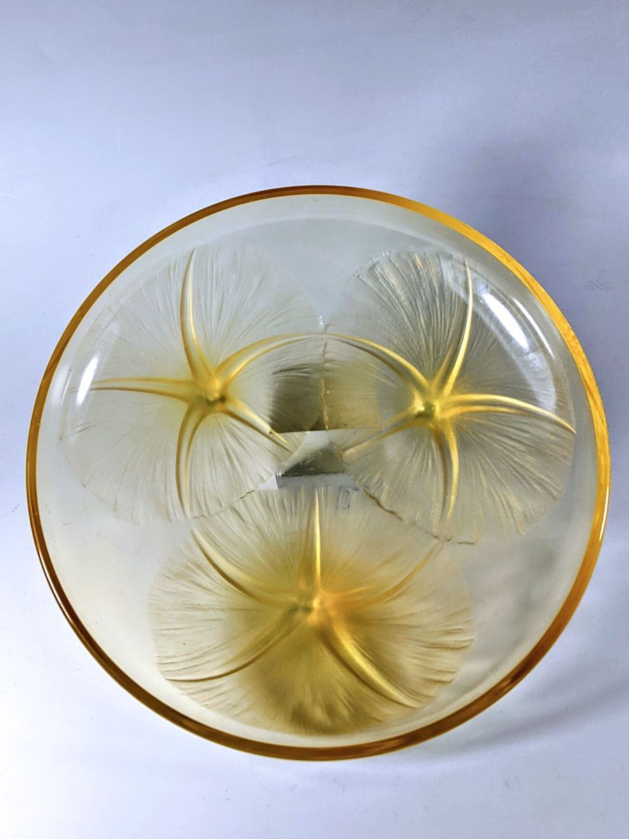 R.Lalique Coupe Volubilis